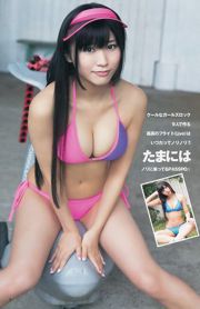 사시하라 리노 네기시 아이 타케 토미 세이카 [Weekly Young Jump] 2013 년 No.39 사진 杂志