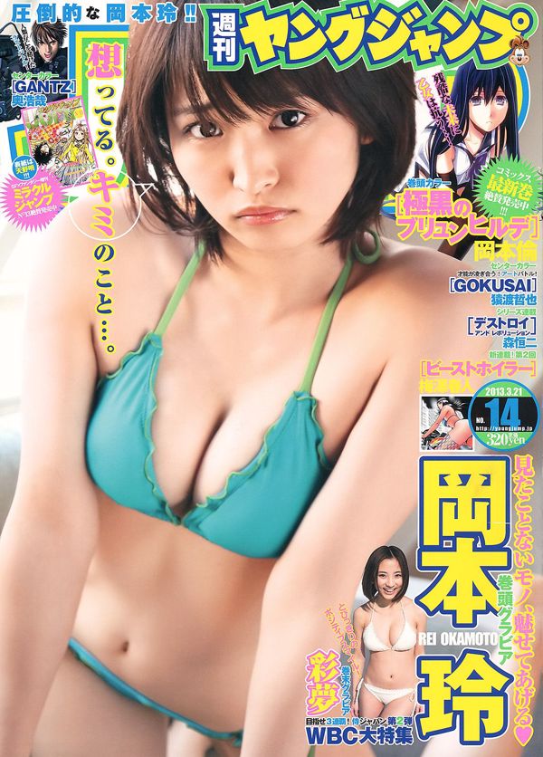 Rei Okamoto Ayame Koike [Weekly Young Jump] 2013 No.14 Photo Magazine
