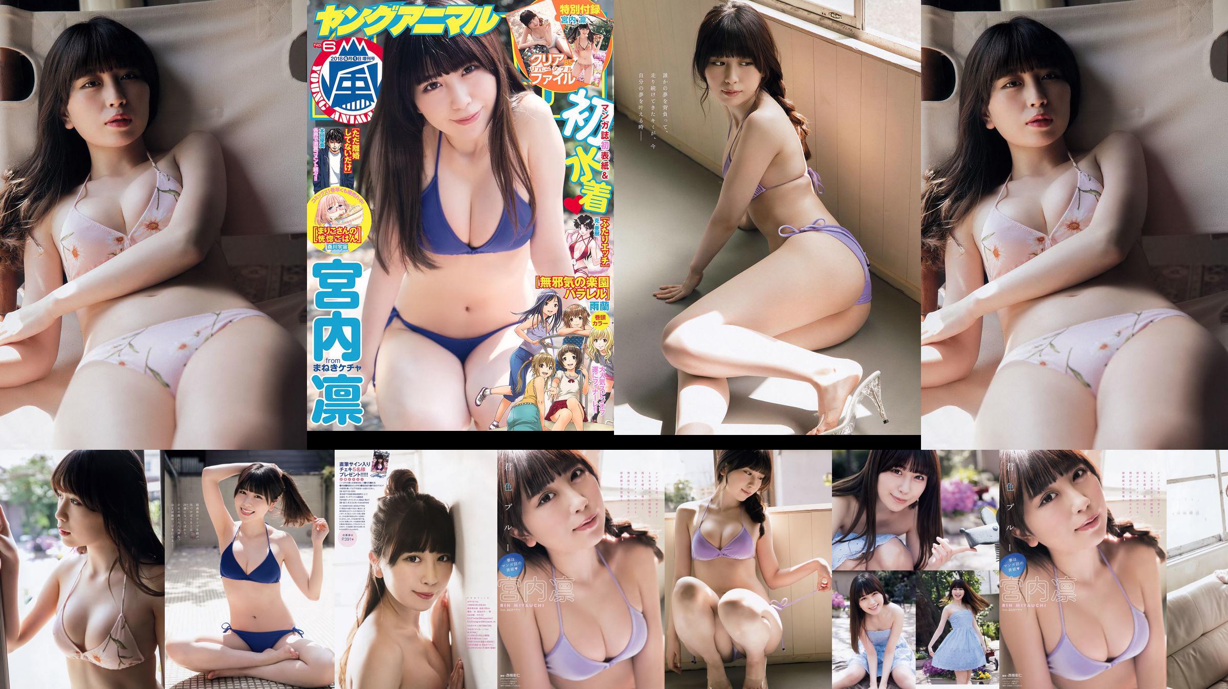 Rin Miyauchi [Young Animal Arashi] Arashi Special Issue 2018 No.06 Photo Magazine No.ded5a9 Pagina 2