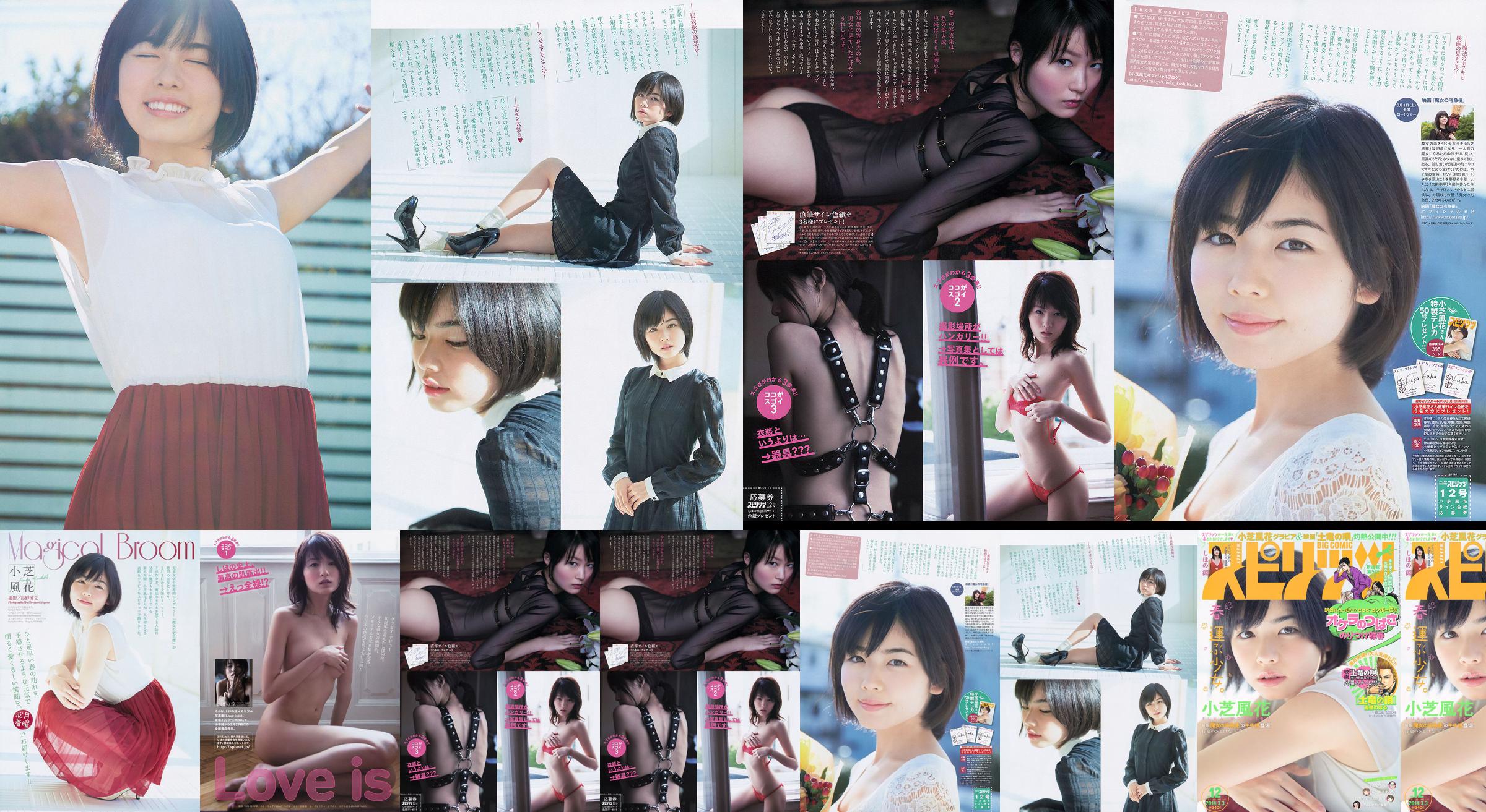 [주간 빅 코믹 스피릿] Xiaoshiba Fuhua し ほ の 凉 2014 No.12 Photo Magazine No.092954 페이지 20